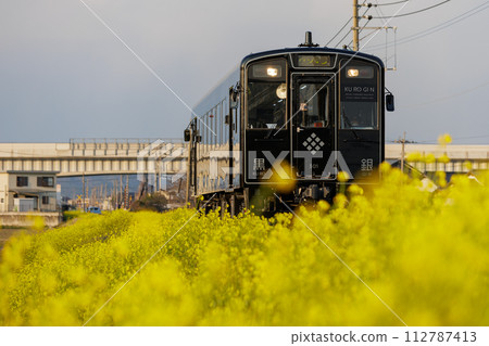 Heisei Chikuho Railway cycle train “KU RO GI N” running through a field of rape blossoms Heisei Chikuho Railway cycle train “KU RO GI N” running through a field of rape blossoms 112787413