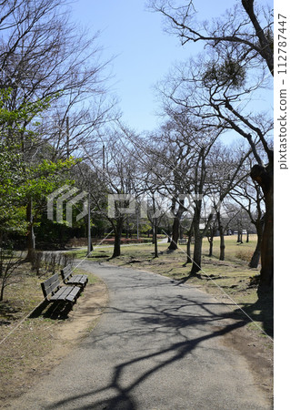 冬天的大茂池公園 冬天的大茂池公園 112787447