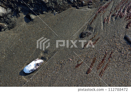 在海灘上觀看潮起潮落。你會被沙子編織出的夢幻神秘的圖案所吸引。 在海灘上觀看潮起潮落。你會被沙子編織出的夢幻神秘的圖案所吸引。 112788472