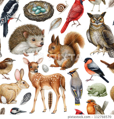 Forest animals seamless pattern. Watercolor painted illustration. Hand drawn forest wild animals and birds seamless pattern. Squirrel, hedgehog, owl, deer, robin, wren elements. White background Forest animals seamless pattern. Watercolor painted illustration. Hand drawn forest wild animals and birds seamless pattern. Squirrel, hedgehog, owl, deer, robin, wren elements. White background 112788570