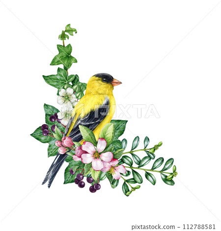 Spring cozy decor with bird and flowers. Vintage style watercolor illustration. Hand drawn goldfinch bird with garden flowers, elderberry, ivy leaves. Springtime decoration element. White background Spring cozy decor with bird and flowers. Vintage style watercolor illustration. Hand drawn goldfinch bird with garden flowers, elderberry, ivy leaves. Springtime decoration element. White background 112788581