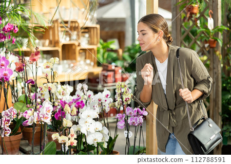 Girl customer-onlooker curiously examines showcase exhibition with indoor plant orchid 112788591