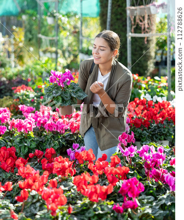 Young woman choosing cyclamen in flower shop Young woman choosing cyclamen in flower shop 112788626