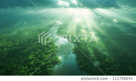 The sun shining in the wide forest 112788645