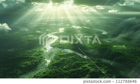 The sun shining in the wide forest The sun shining in the wide forest 112788646