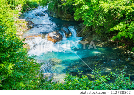 志摩坑洞組（夏季） 112788862