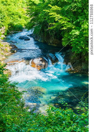 志摩坑洞組(夏季) 志摩坑洞組(夏季) 112788868