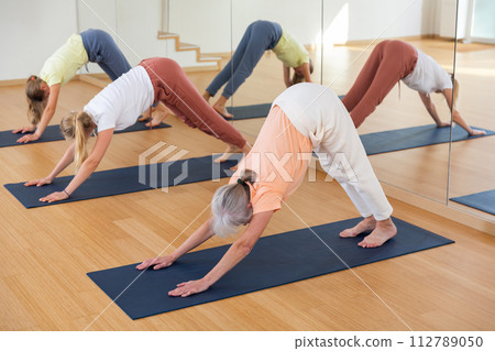 Fitness, sport and healthy lifestyle concept - woman doing yoga downward-facing dog pose on mat 112789050