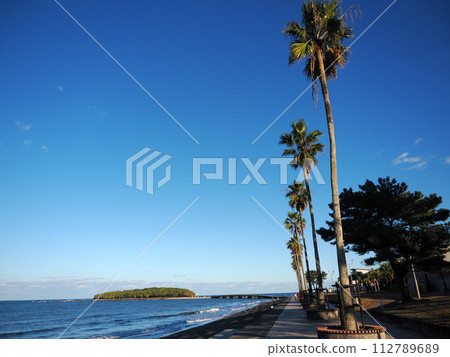 Aoshima beach scenery 112789689