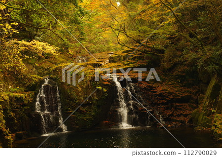 Autumn leaves at Akame 48 Waterfalls (Nabari City, Mie Prefecture) Autumn leaves at Akame 48 Waterfalls (Nabari City, Mie Prefecture) 112790029