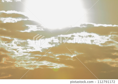 The appearance of a crane flying toward the morning sun in Izumi The appearance of a crane flying toward the morning sun in Izumi 112791172