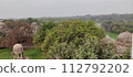 Delhi, India - March 05 2024: Hauz Khas Fort, Aerial View 112792202