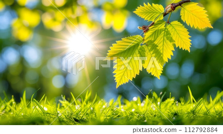 Close-up, Beautiful fresh nature view with plants, leaves, and garden background, Generative AI 112792884