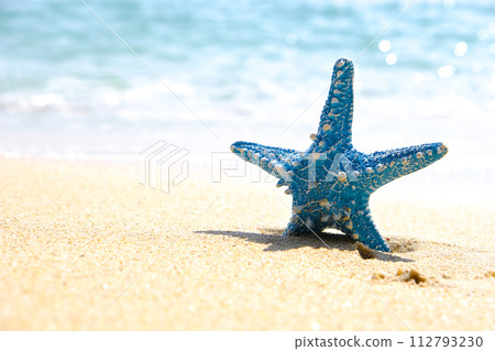 Starfish and Wave water sea blue amazing on islands in the world Starfish and Wave water sea blue amazing on islands in the world 112793230
