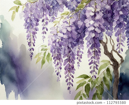掛在樹枝上的紫藤花水彩畫 112793380