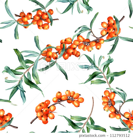 Watercolor botanical seamless pattern with plant sea buckthorn branches. Hand drawn illustration on isolated background for wrapping wallpaper fabric textile 112793512