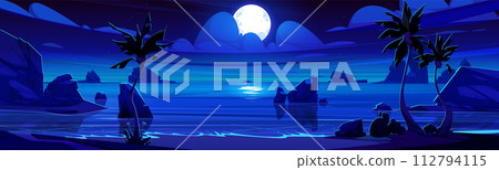 Night tropical beach landscape 112794115