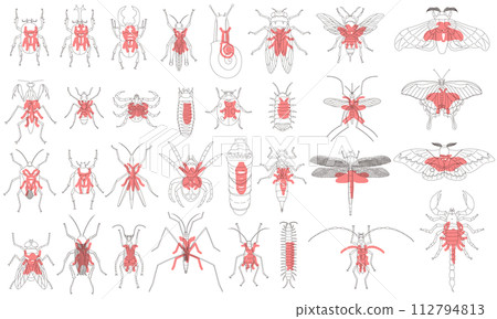Specimen style outline insect icon set red Specimen style outline insect icon set red 112794813