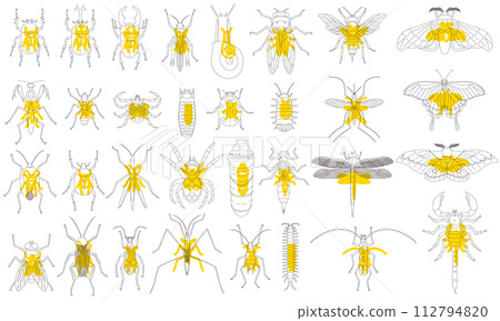 植物標本館風格輪廓昆蟲圖示集 植物標本館風格輪廓昆蟲圖示集 112794820