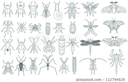 Specimen style color shadow insect icon set light blue Specimen style color shadow insect icon set light blue 112794826