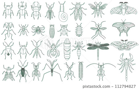 標本風格彩色陰影昆蟲圖示集 112794827