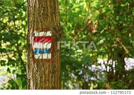 Tourist sign on a tree. Unique color marking of tourist routes in the Czech Republic. Tourist sign on a tree. Unique color marking of tourist routes in the Czech Republic. 112795173
