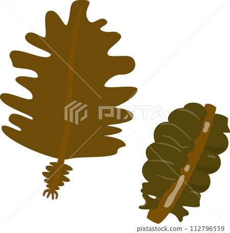 Raw seaweed and mekabu Raw seaweed and mekabu 112796559