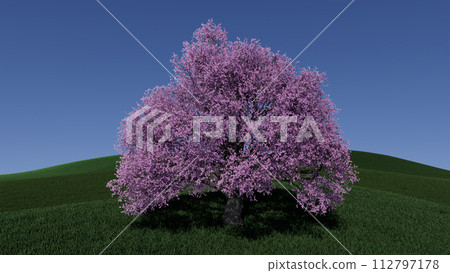 3d illustration A large tree with purple leaves stands on a hill 3d illustration A large tree with purple leaves stands on a hill 112797178