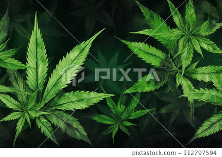 Banner consisting from traditional species marijuana in leaves, Ai generated 112797594