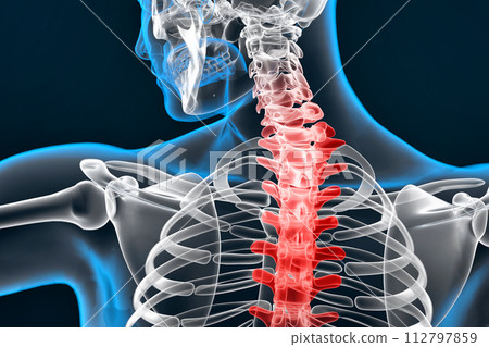 Illustration of human spine. 3D Rendering Illustration of human spine. 3D Rendering 112797859
