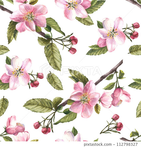 Branch of apple or other spring blossom tree seamless pattern, flowers and buds. Springtime blooming plant. Hand drawn botanical clipart for fabric, wrapping wallpaper print. Isolated white background 112798327