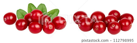 Cranberry isolated on white background with full depth of field Cranberry isolated on white background with full depth of field 112798995