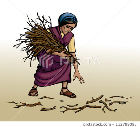 Vector drawing. Woman collecting firewood 112799085