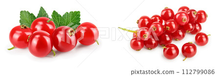 Red currant berry isolated on white background 112799086