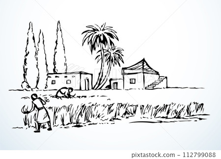 Vector drawing. Reapers in the field Vector drawing. Reapers in the field 112799088