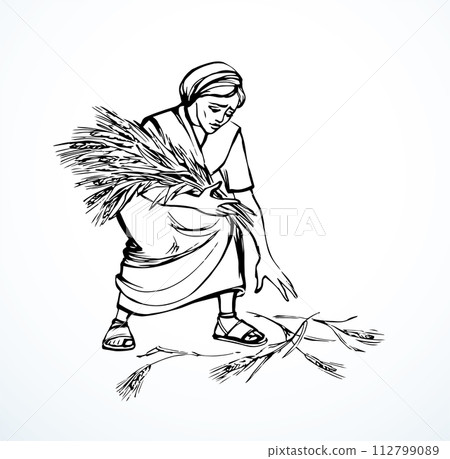 Vector drawing. A woman picks ears in the field Vector drawing. A woman picks ears in the field 112799089