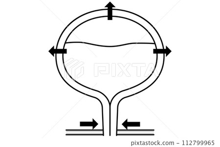 正常膀胱、排尿機轉、儲存尿液的醫學插圖 112799965