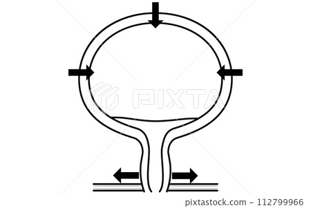 正常膀胱、排尿機轉、排尿的醫學插圖 112799966