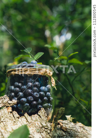 Close-up of Blueberries in the forest with green leaves. Country life gardening eco friendly living Harvested berries, process of collecting, harvesting berries into glass jar in the forest. Bush of 112800545