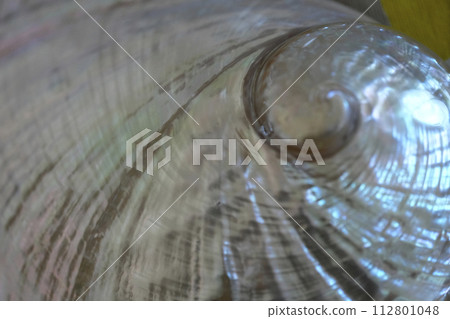 紐西蘭鮑魚殼 112801048