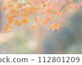 Autumn leaves 112801209