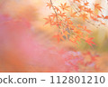Autumn leaves 112801210