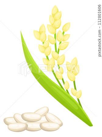 Rice cartoon icon. Farm crop. Cereal grain 112801606