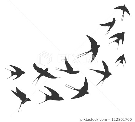 Flying swallow silhouettes. Black martin birds flock 112801700