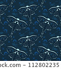 blue butterflies on a blue background 112802235