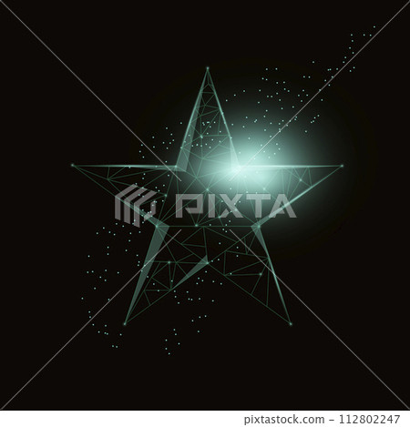 Polygonal vector illustration of five-pointed star. 112802247