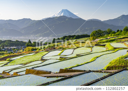 [Yamanashi Prefecture] Mt. Fuji and terraced rice fields at dawn/early summer in Japan's original scenery [Nakano Rice Terraces] 112802257