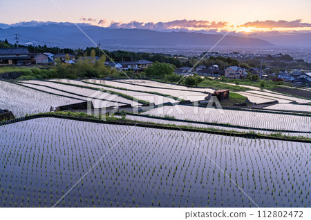 《山梨縣》日本黎明與初夏梯田的原始景觀《中野梯田》 112802472