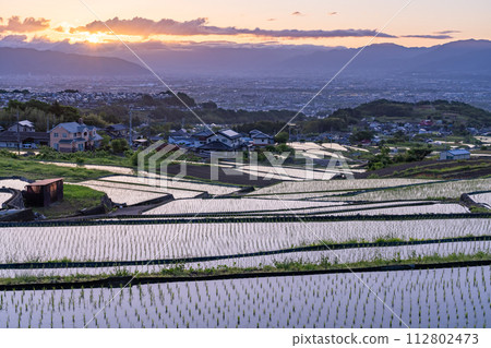 《山梨縣》日本黎明與初夏梯田的原始景觀《中野梯田》 112802473