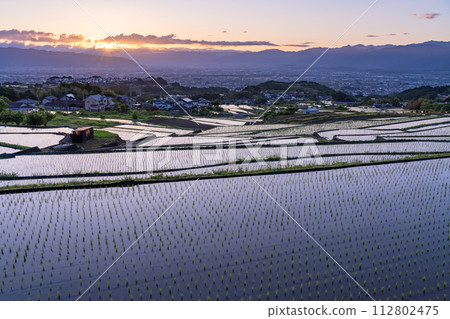 《山梨縣》日本黎明與初夏梯田的原始景觀《中野梯田》 112802475